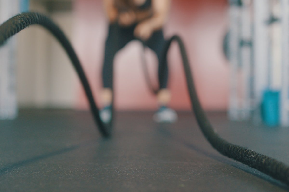 How to Track Your Workouts: The Habit That Separates Progress from Plateau